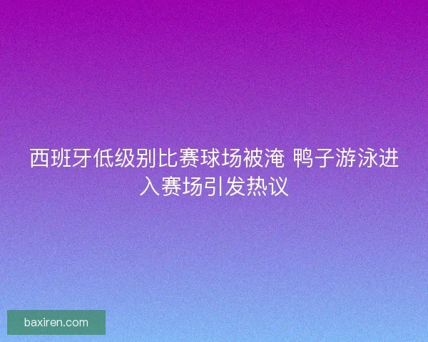 西班牙低级别比赛球场被淹 鸭子游泳进入赛场引发热议